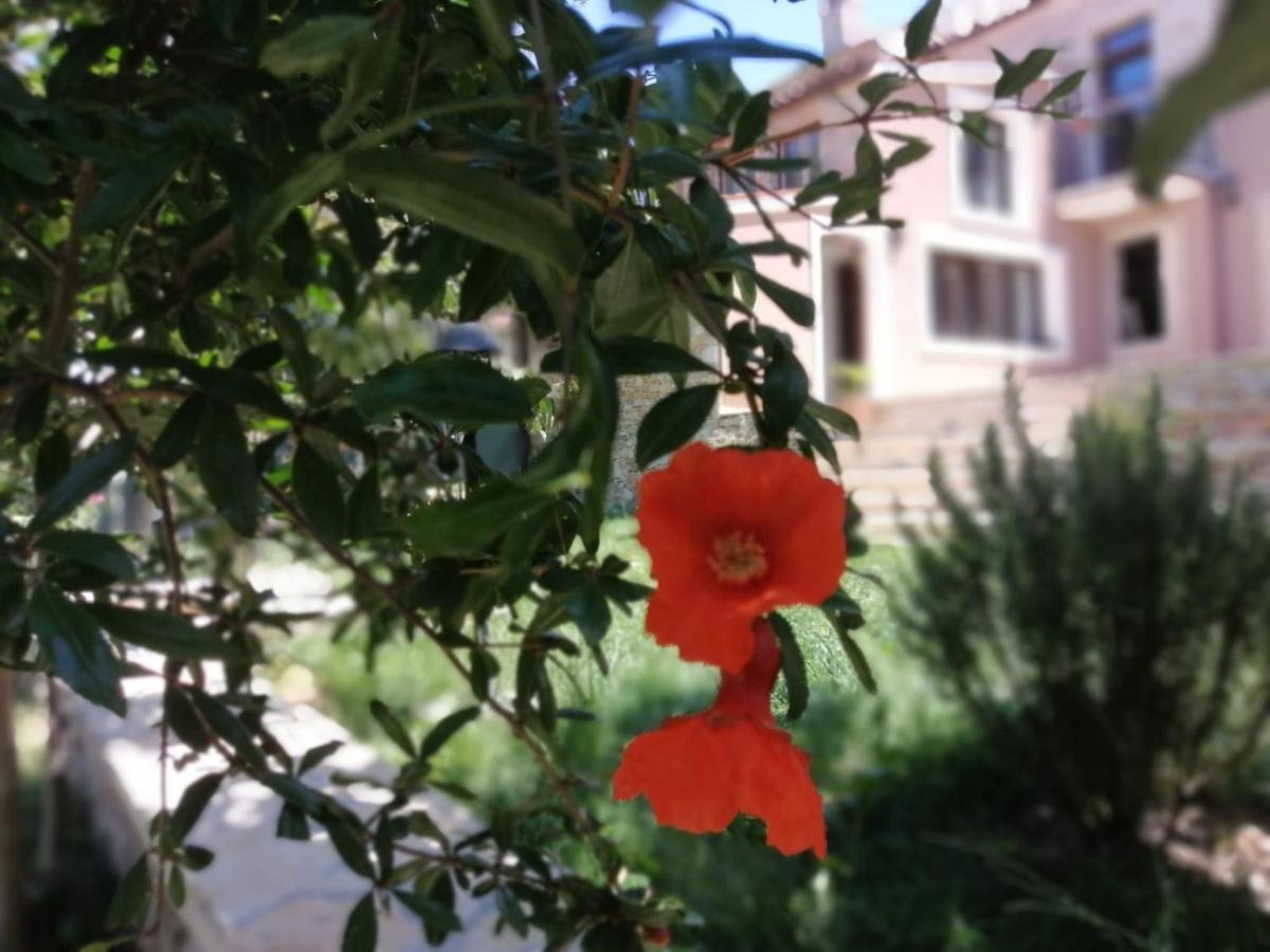 Apartments Sena بولا المظهر الخارجي الصورة